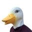 Duck Goose Mask Costume