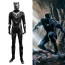 Black Panther Complete Cosplay Costume