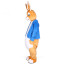 Giant Peter Rabbit Mascot Costume