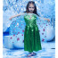 Girls Anna Green Dress Costume Dress