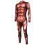 Male Muscle Suit Costume - Bodysuit Muscle Cosplay