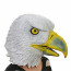 Eagle Mask Cosplay Costume