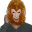 Monkey King Journey to the West Mask Cosplay Costume