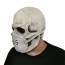 Skull With Mask Cosplay Mask