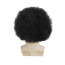 Bruno Mars Wig - Black Curly Afro Wig Bruno Mars Cosplay Costume