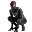 Spider Man Secret War Suit Lycra Cosplay Costume