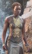Nakia Black Panther Costume Cosplay