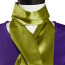 Scooby-Doo Daphne Blake Costume - Purple Dress Scarf Daphne Blake Cosplay