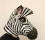 Zebra Mask Costume