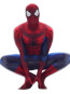 Spiderman Complete Cosplay Costume For Adults