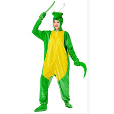 Praying Mantis Costume