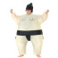 Inflatable Sumo Wrestler Costume For Kids