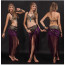 Belly Dance Top and Skirt 
