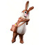 Brown Rabbit Inflatable Costume - Brown Rabbit Cosplay
