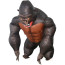 Kids Gorilla Inflatable Costume - Gorilla Cosplay