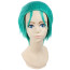One Piece Roronoa Zoro Wig - Reunion After Two Years Roronoa Zoro Cosplay Costume Wig Prop