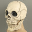 Skull Mask Costume