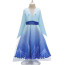 Frozen 2 Elsa Dress