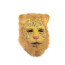 Leopard Lion Cosplay Mask