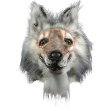 Wolf Mask Costume