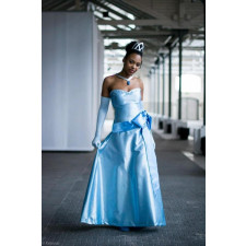 Tiana Blue Dress Costume