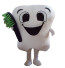 Giant Dentist Tooth Mascot Costume