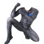 Nightwing Dick Grayson Bodysuit Costume