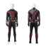 Ant-Man 2 Official Cosplay Costume