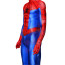 Spider-Man Into the Spider-Verse Peter Parker Suit Costume - Bodysuit Peter Parker Spider Man Cosplay