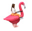 Inflatable Flamingo Riding Costume