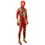 Spider-Man Civil War Iron Spider Suit Costume - Fullsuit Iron Spider Armor Iron Spider Suit Cosplay