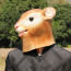 Squirrel Mask - Squirrel Cosplay Costume Mask Prop