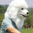 White Dog Furry Mask - White Dog Cosplay Costume Mask Prop