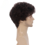 Harry Styles Wig - Curly Brown Wig Harry Styles Cosplay Costume