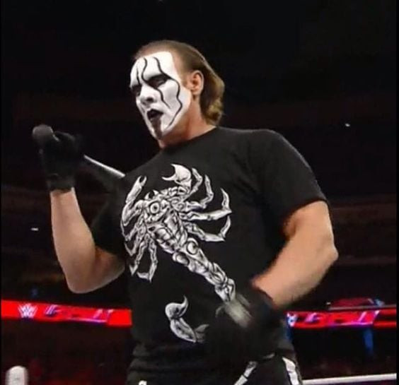WWE Sting Costume - Scorpion T- Shirt Sting Cosplay