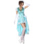 Sexy Cinderella Costume