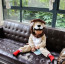 Baby Small Lion Costume InCharacter - Onesie Jumpsuit Lion Cosplay