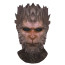 Black Myth: Wukong Sun Money King Mask - Wukong Cosplay Costume Mask Prop