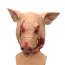 Zombie Pig Animal Mask Prop - Zombie Pig Cosplay Costume Mask