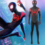 Spider-Man Across the Spider-Verse: Miles Morales Costume - Type 2 Bodysuit Miles Morales Cosplay