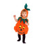 Pumpkin Baby Costume