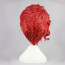 JoJo's Bizarre Adventure Noriaki Kakyoin Wig - Noriaki Kakyoin Cosplay Costume Wig Prop