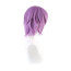 Project SEKAI Kamishiro Rui - Rui Kamishiro Costume Wig Prop
