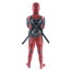 Deadpool Complete Cosplay Halloween Costume