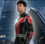 Ant Man Complete Cosplay Costume