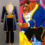 Disney Beauty And The Beast Prince Cosplay Costume For Men Halloween Costume