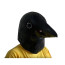 The Crow Black Bird Mask - The Crow Cosplay Costume Mask Prop