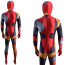 Evil Deadpool Patchwork Cosplay Costume