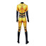 Queen Bee Miraculous Ladybug Lycra Cosplay Costume