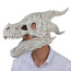 Dragon Skull Cosplay Mask